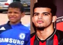 A Naruto Fan’s Rise in Football: Inside Dominic Solanke’s Journey