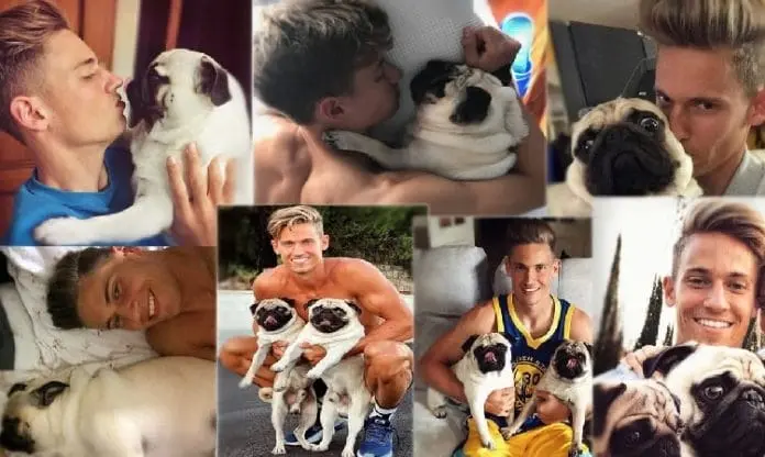 Meet Marcos Llorente's Dogs.