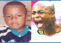 The Evolution of Andre Ayew: In the Footsteps of Abedi Pele