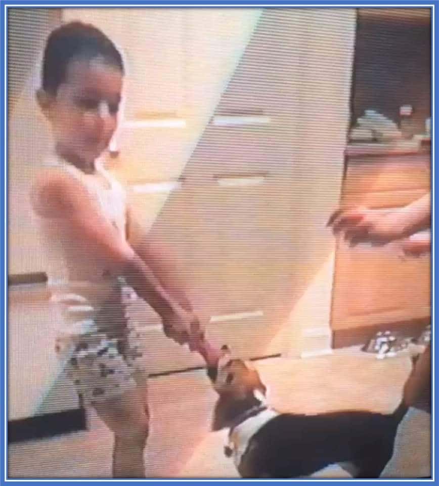 Young Matt Turner is pictured dragging his toy from his dog. He cried afterwards!