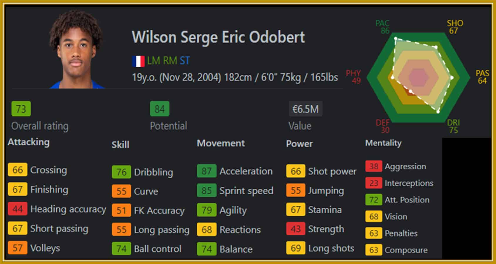 FIFA analyses of the footballer's Stats