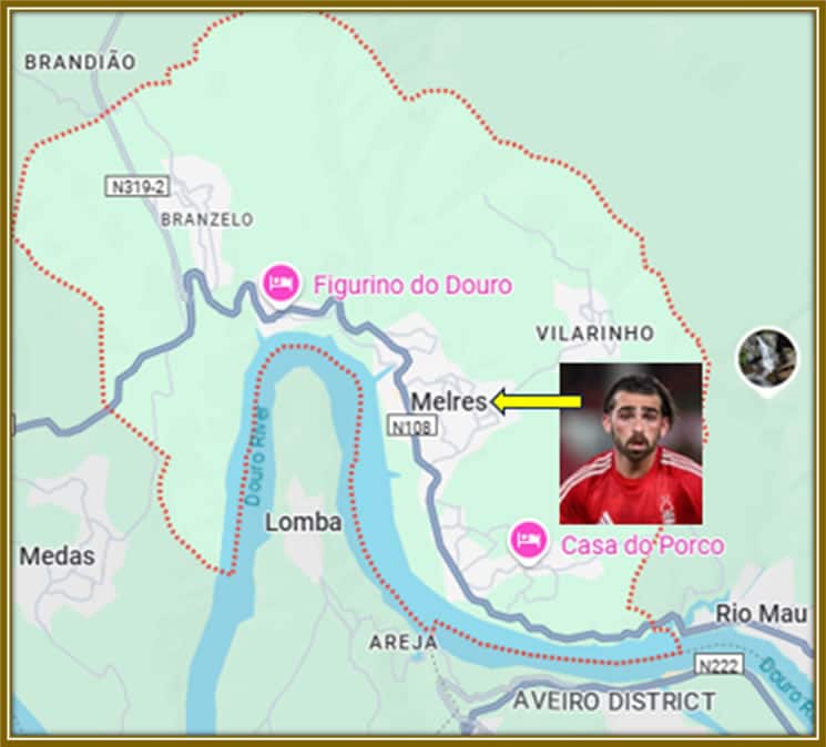 A graphic presentation of Jota Silva's Hometown