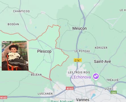 Georginio Rutter's hometown is in Plescop